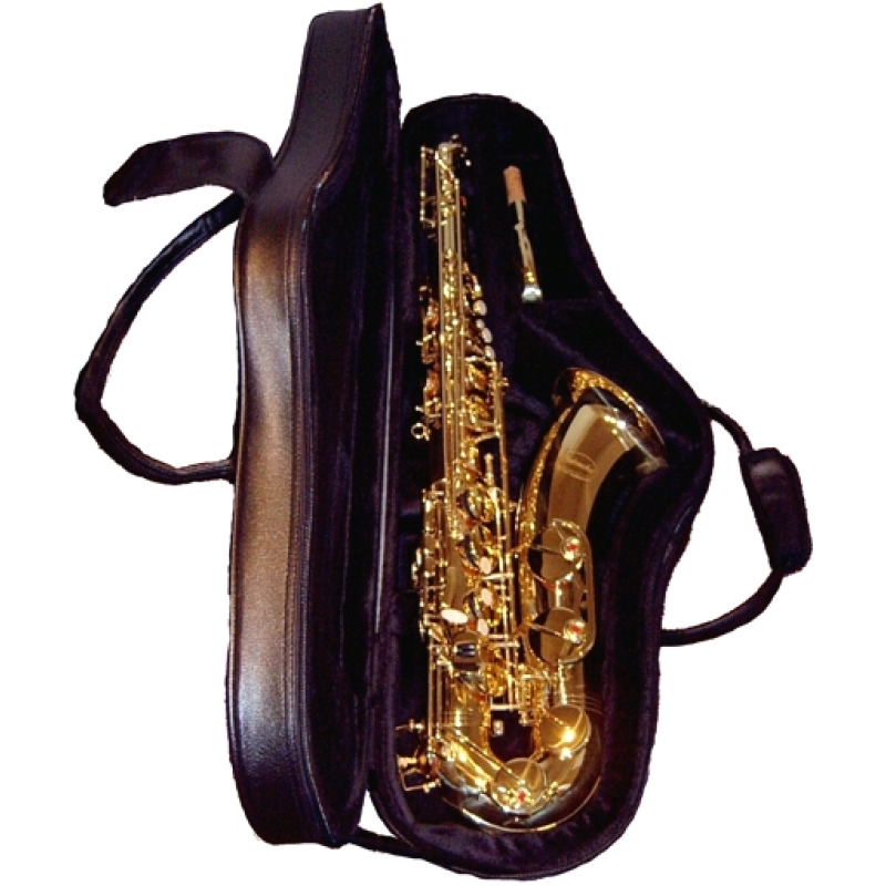 Tenor sax bag 